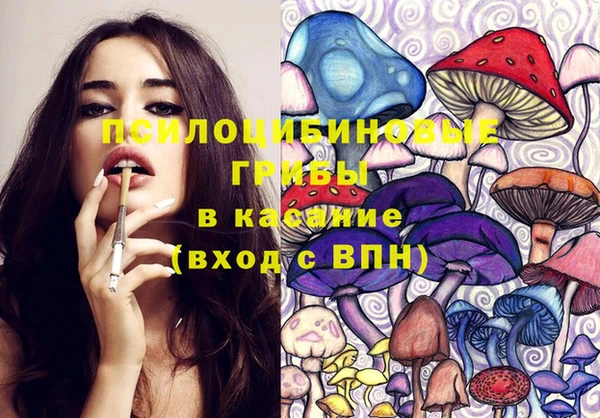 гашик Верхний Тагил