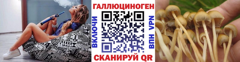 Псилоцибиновые грибы GOLDEN TEACHER  цены наркотик  Чехов 